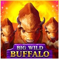 game logo by Belatra Games on shelbywinscasino.com